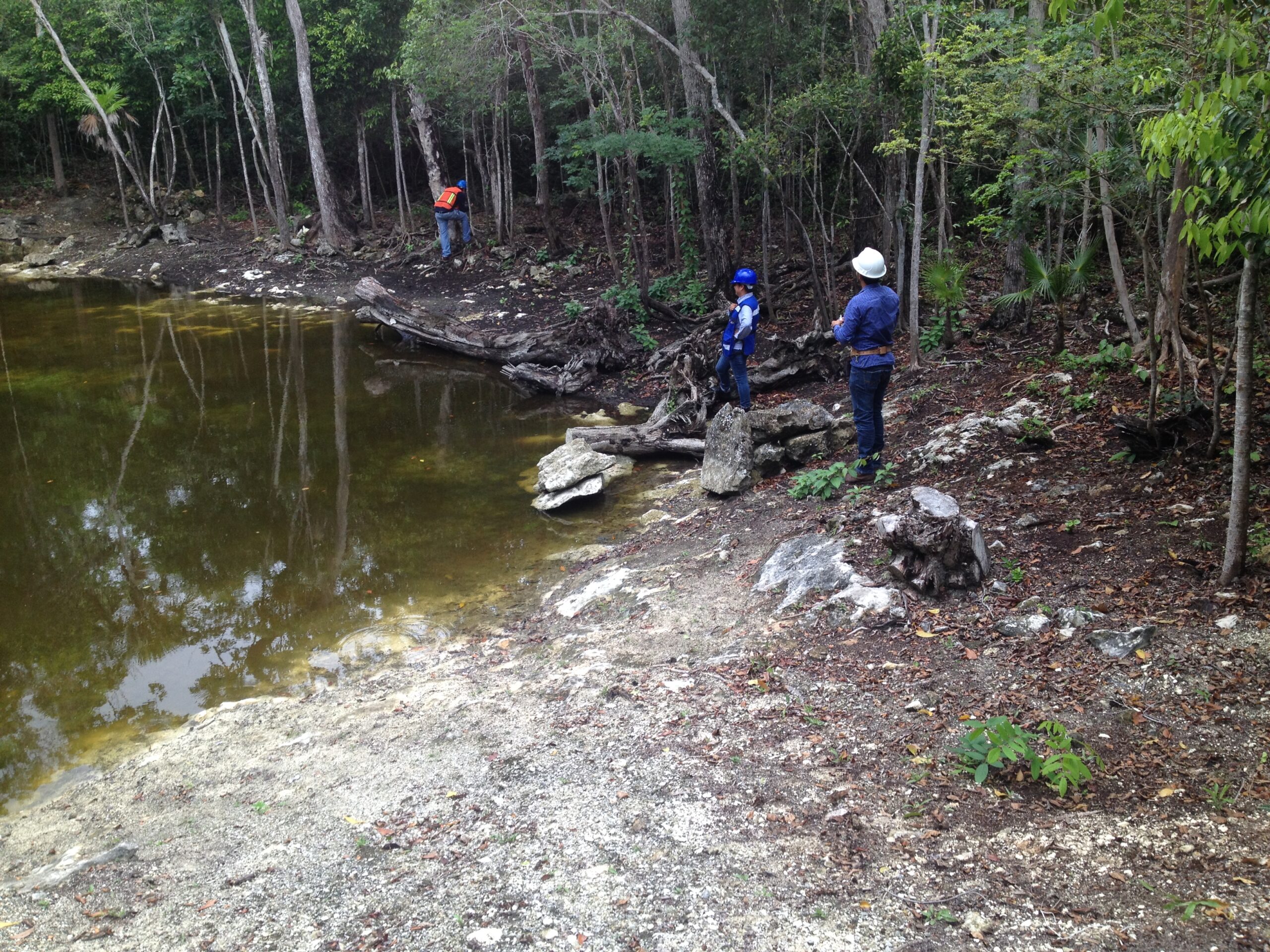 Recorrido en campo para realizar Estudio Hidrológico y Geohidrológico el en proyecto denominado El Caracol en Puerto Morelos, Cancún.